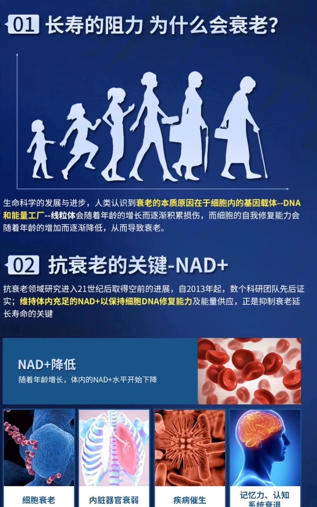 01长寿的阻力 为什么会衰老?02 抗衰老的关键-NAD+