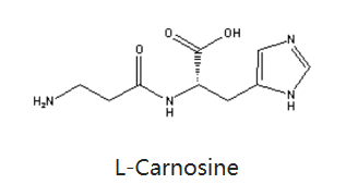 肌肽-化妆品中的应用