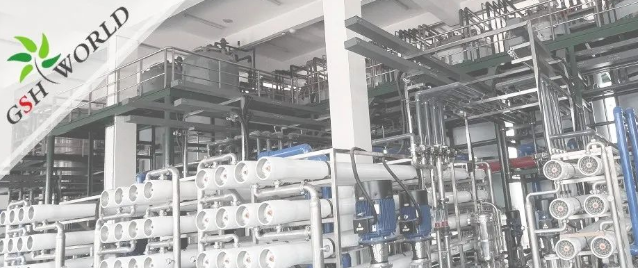 企业动态 - 安庆市区领导对古特生物的生产发展给予充分肯定