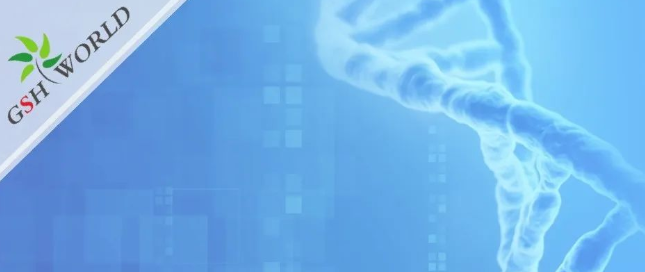 烟酰胺和nmn区别？烟酰胺单核苷酸(NMN) 的化合物