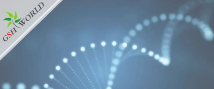 行业关注 - 胞磷胆碱保护大脑的7大好处