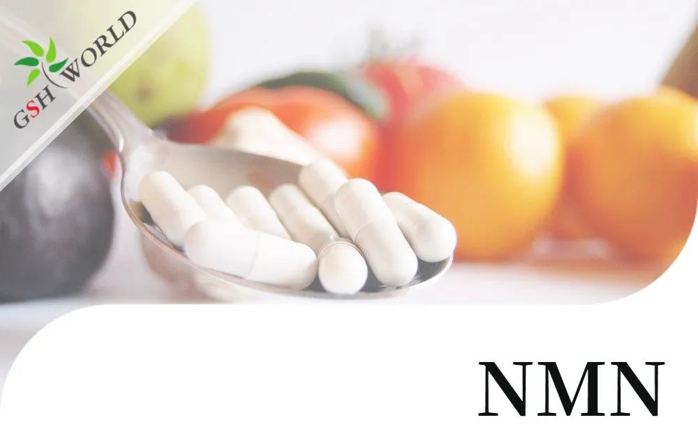 行业关注 - NMN潜在的抗衰老活性及其适用性
