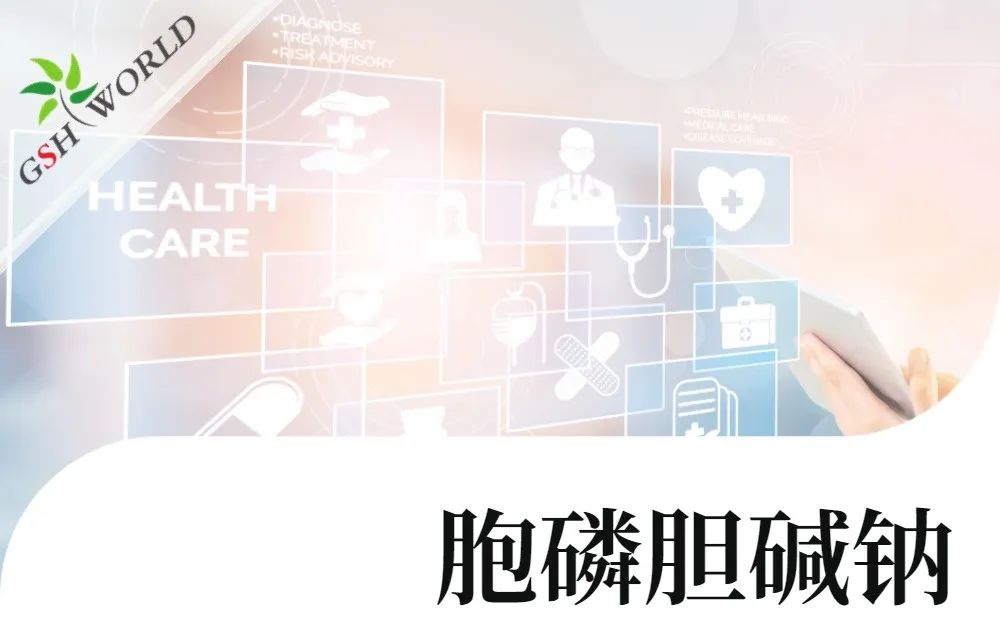 行业关注 - 胞磷胆碱钠对新冠导致相关认知衰退的潜在作用