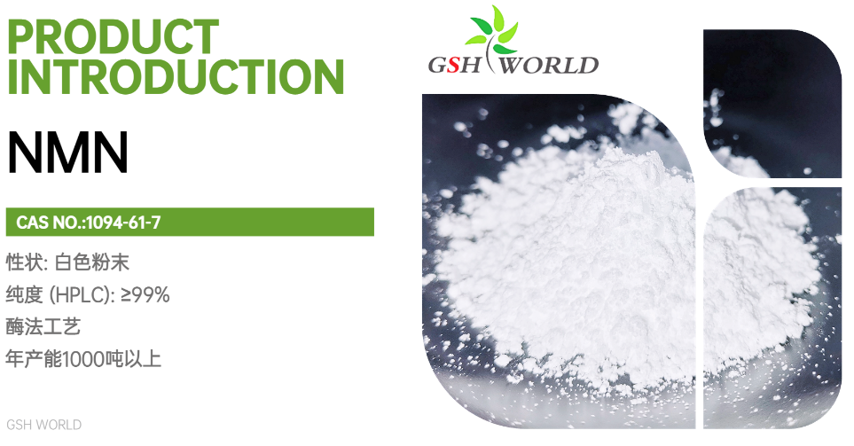 烟酰胺单核苷酸：一种有望延缓衰老的分子