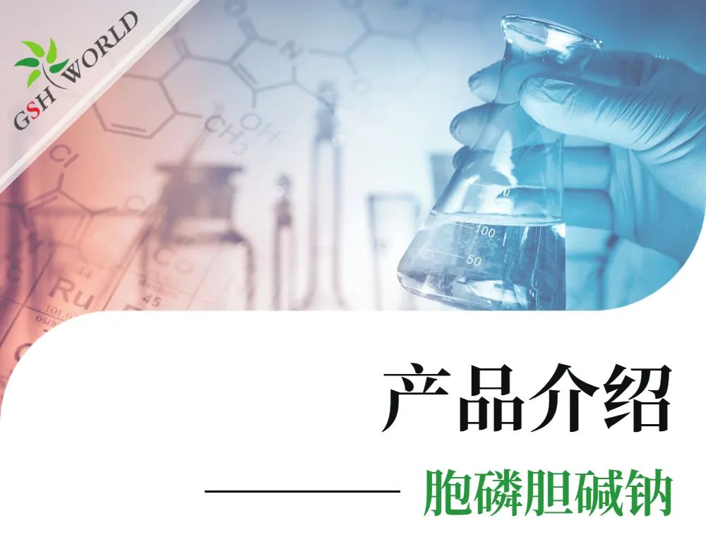 产品介绍 - 胞磷胆碱钠——被广泛应用的神经保护剂