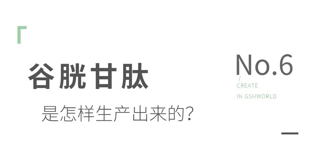 谷胱甘肽是如何生产的？
