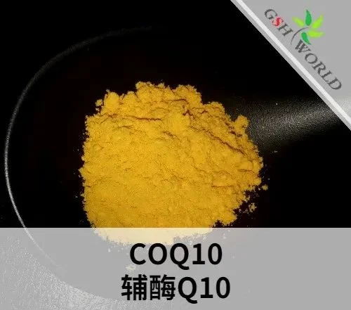 辅酶Q10原料的概述和应用