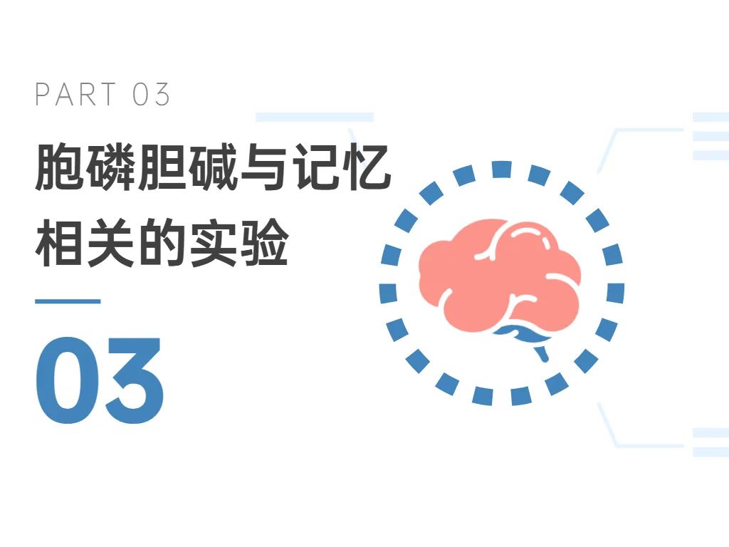 03胞磷胆碱与记忆相关的实验