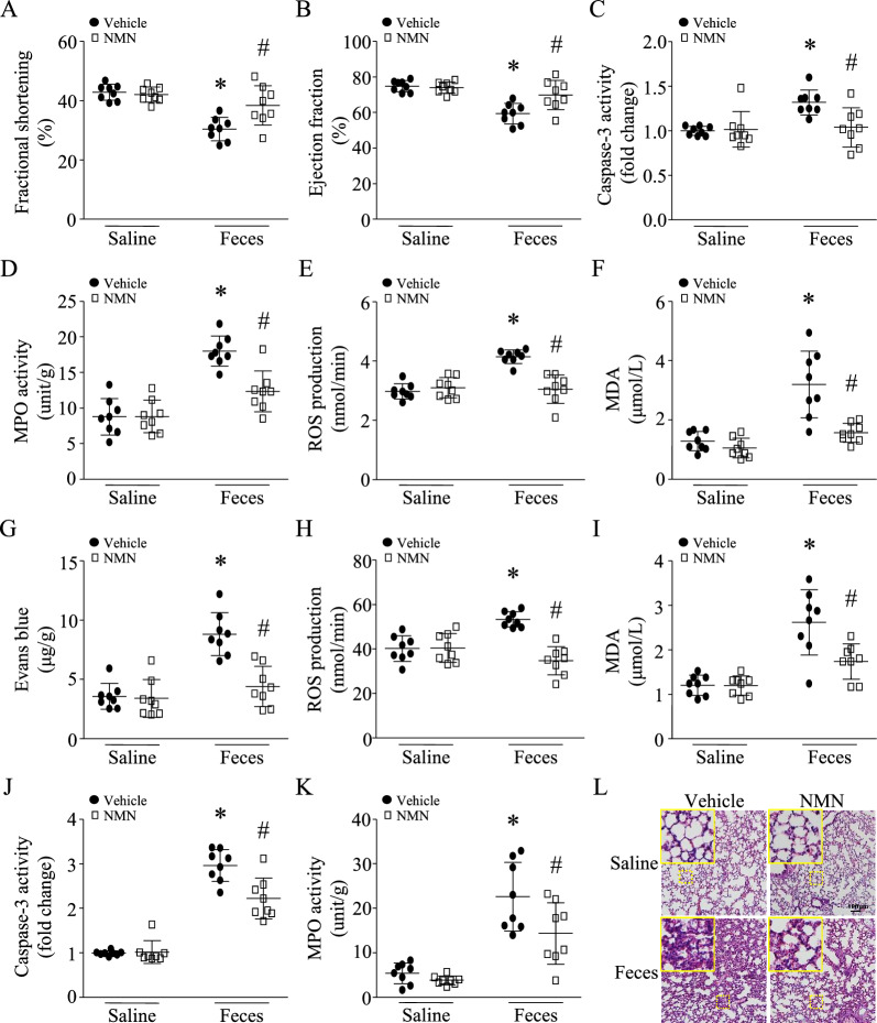 包含图片、插图等的外部文件。
对象名称为 12967_2023_4767_Fig2_HTML.jpg