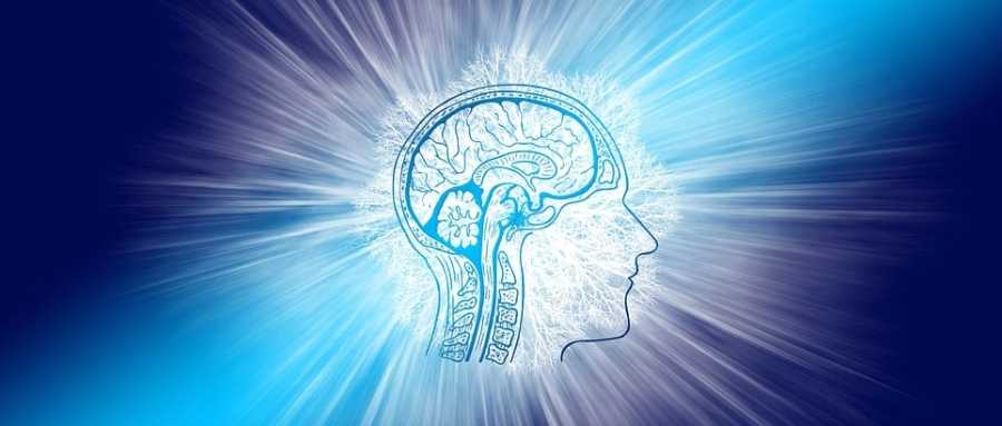 肌肉力量和身体机能的增强