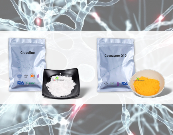 胞磷胆碱与辅酶Q10的神经保护机制