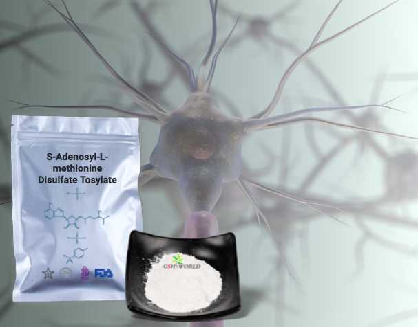 SAMe对神经健康的作用