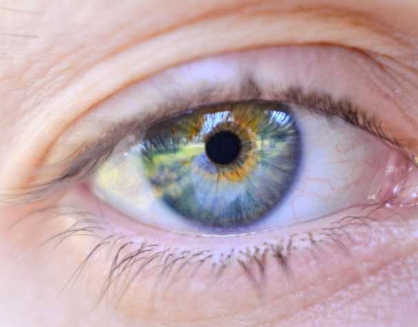 胞磷胆碱的作用机制