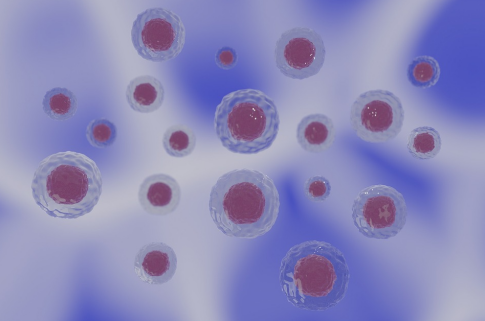 硫辛酸的独特作用与联合应用