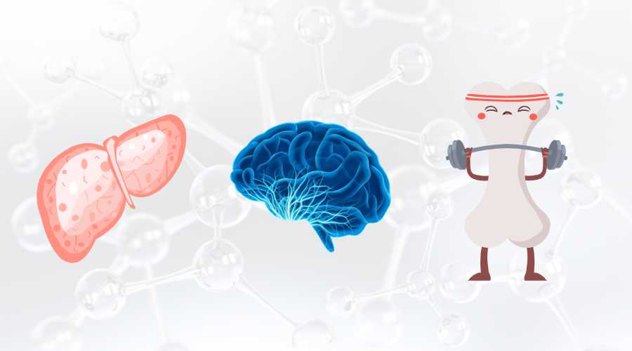 或可改善肝功能指标