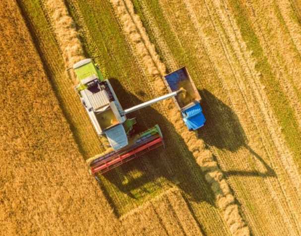 谷胱甘肽在多种非生物胁迫中的作用