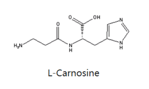 肌肽-化妆品中的应用