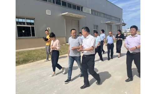 市委常委、副市长吕栋来公司调研