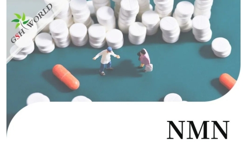 行业关注 - NMN的多种治疗应用