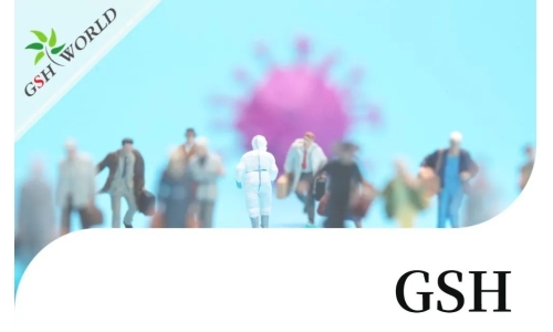 行业关注 - 增强 GSH 可能是对抗新冠疾病的有效疗法