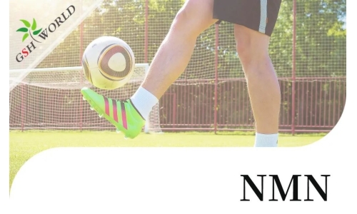 行业关注 - NMN对肌腱炎的抗氧化作用