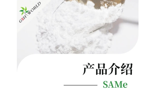 产品介绍 - SAMe——堪称全能的肝脏营养剂