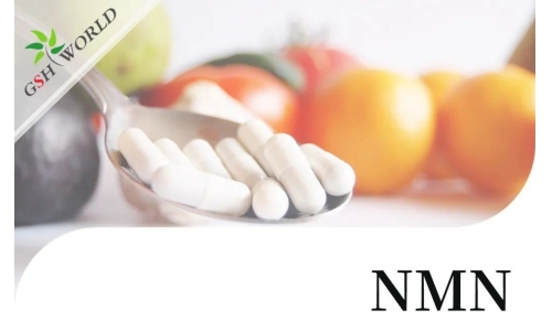 行业关注 - NMN潜在的抗衰老活性及其适用性
