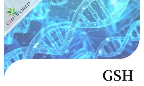 行业关注 - 谷胱甘肽结合几种不同抗癌化疗药物的生物学作用