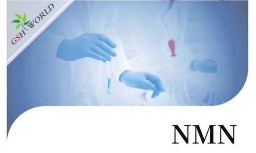 行业关注 - NMN的保健功能与最新研究进展