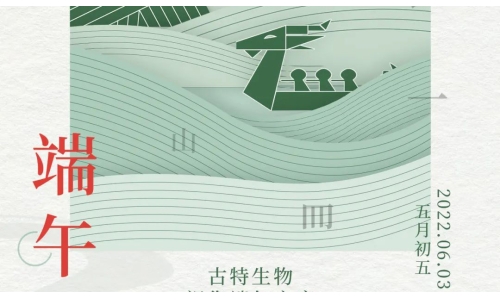 端午 - 争流而上，行舟踏浪