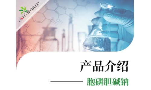 产品介绍 - 胞磷胆碱钠——被广泛应用的神经保护剂