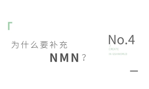 NMN——身体内的抗氧化剂、免疫调节剂和抗炎药