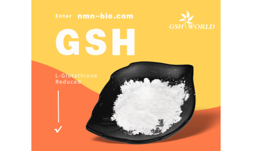 谷胱甘肽：一种多功能的抗氧化剂和解毒剂