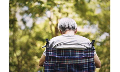 NMN对于老年人睡眠质量的影响