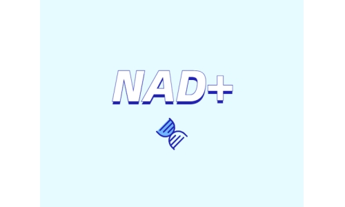 NAD+领域的迅速发展