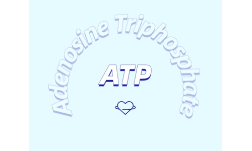 运动补剂新探索：ATP补充剂的优势