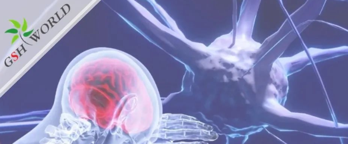 行业关注 - 谷胱甘肽在脑部疾病和衰老中的作用