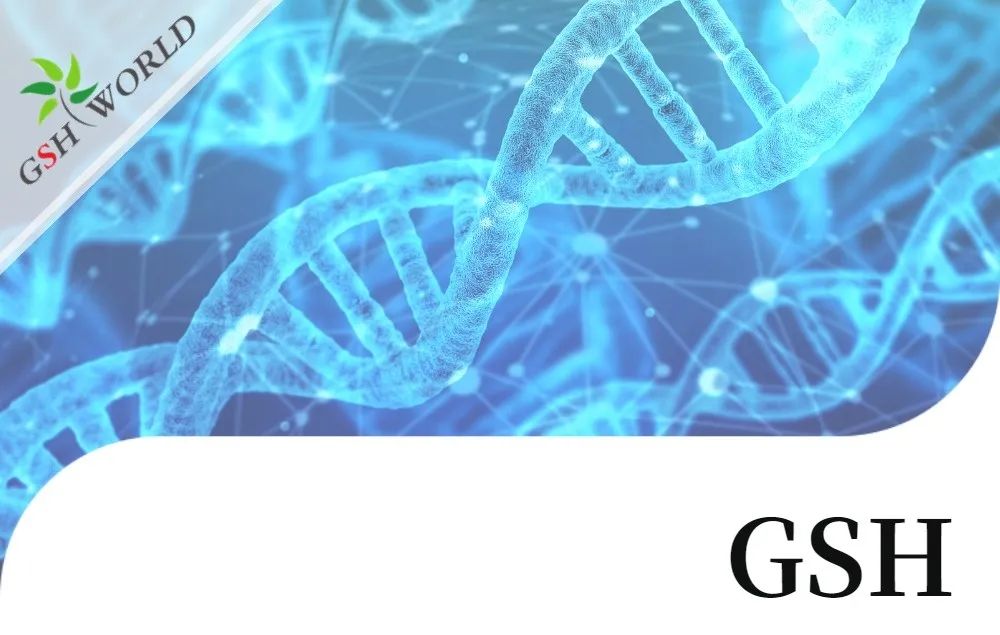 行业关注 - 谷胱甘肽结合几种不同抗癌化疗药物的生物学作用