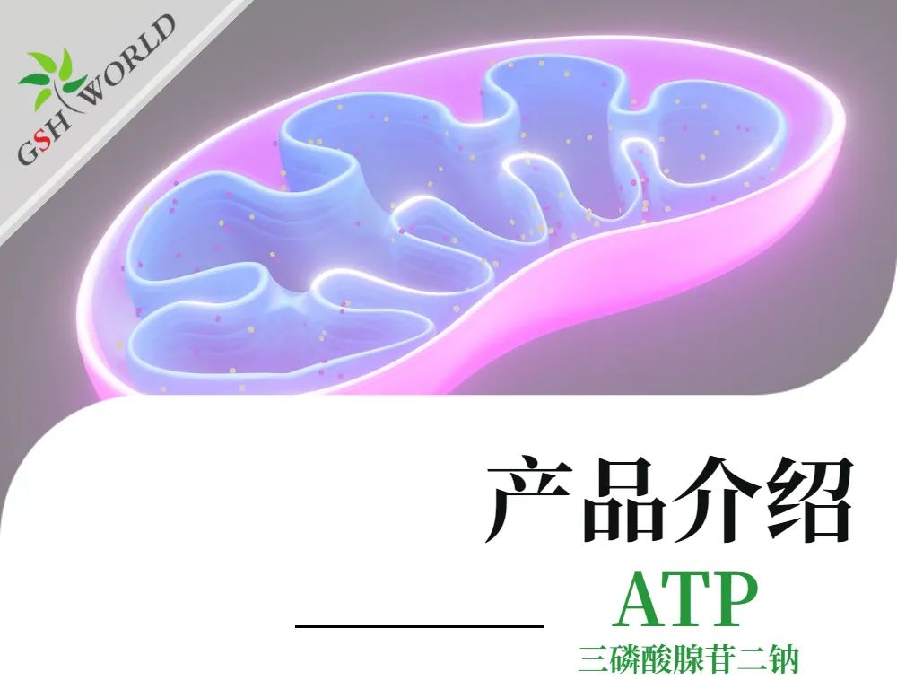 三磷酸腺苷二钠：生命能量的化学密码