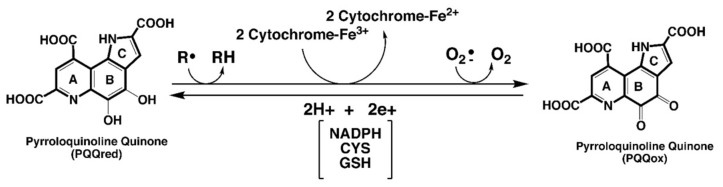 包含图片、插图等的外部文件。
对象名称为 biomolecules-11-01441-g001.jpg