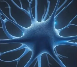 胞磷胆碱：神经膜的直接修复者