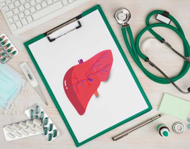 肝脏健康 肝脏健康