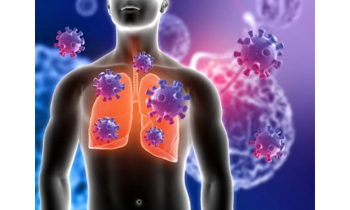 钟南山：6月底将迎来二阳高峰！危害更大？NMN能有效抵御“二阳”！