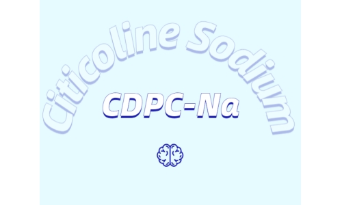 常见的健脑成分都有哪些?